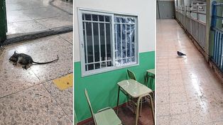 Docentes y alumnos de la Escuela de Comercio harán una sentada por las calamitosas condiciones del edificio
