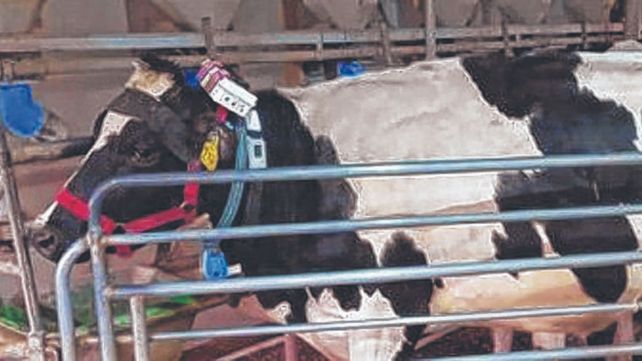 En el campo. Se puso en marcha el uso de tecnologías de evaluación.