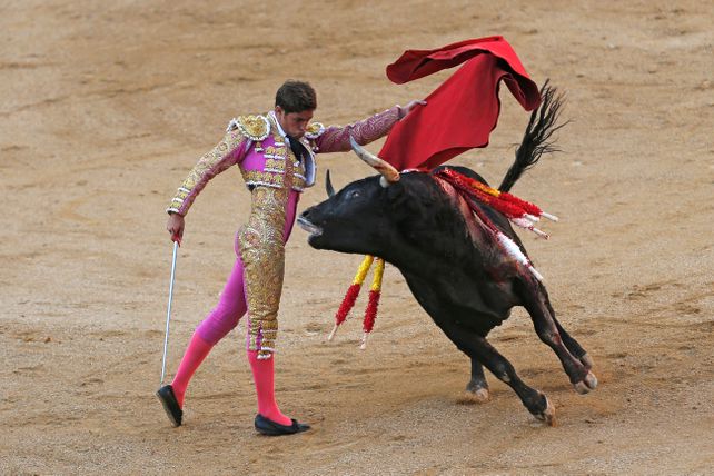Controversial. Los catalanes mantienen cerrada oposición a las corridas.