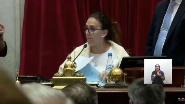 ¡Vamos todavía!, el festejo de Michetti tras la votación