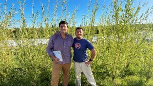 Desde Córdoba, los ingenieros agrónomos Luis Argüello Pitt y Eduardo Castro de Optimizar Forestal.