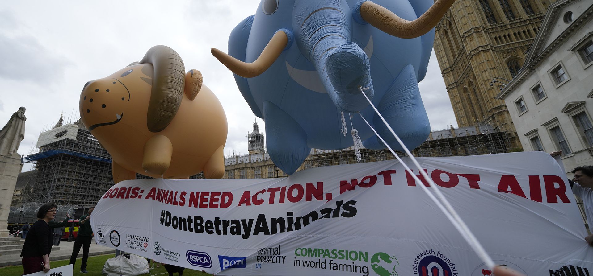 Activistas por los derechos de los animales sostienen dos grandes globos inflables con forma de león y elefante en apoyo del proyecto de ley de protección animal que se encuentra actualmente ante el Parlamento, mientras protestan frente al Palacio de Westminster, Londres, el miércoles 27 de abril de 2022.