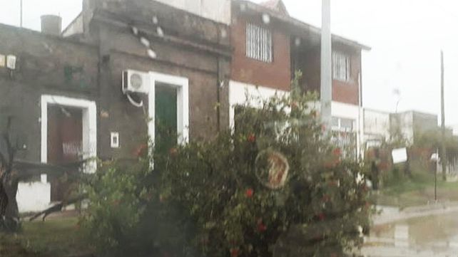 Frente de tormenta en Entre Ríos provoca serios destrozos