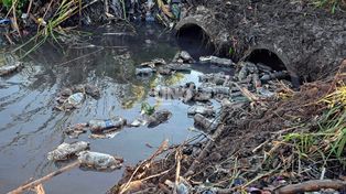 Emergencia Hídrica: el concejal Pedro Medei impulsa un proyecto para declarar la Emergencia Hídrica en Santa Fe ante el fenómeno de El Niño.
