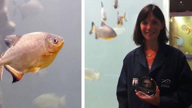 Una investigadora del Acuario recibió un premio internacional
