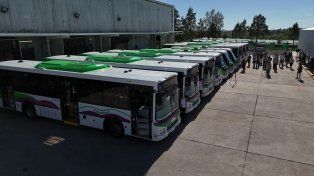 La Justicia confirmó la cautelar que obliga a San José a absorber a los 237 trabajadores de Buses Paraná
