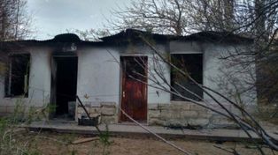 Un estanciero de Chubut habría sido comido por cerdos