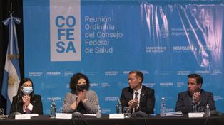 Coronavirus: Vizzotti afirmó que el país entró en la cuarta ola de Covid-19