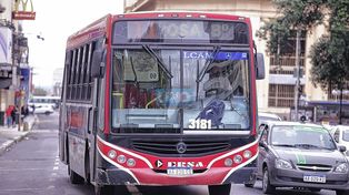 De acuerdo a la Municipalidad, la decisión de disminuir la cantidad de coches en circulación fue tomada de forma unilateral, habiendo solamente 81 colectivos de 94. El subsecretario remarcó que, desde la Municipalidad, se está exigiendo a la empresa que los choferes ausentes sean reemplazados para reanudar el servicio normal pero, ante la falta de cumplimiento, son multados todos los días