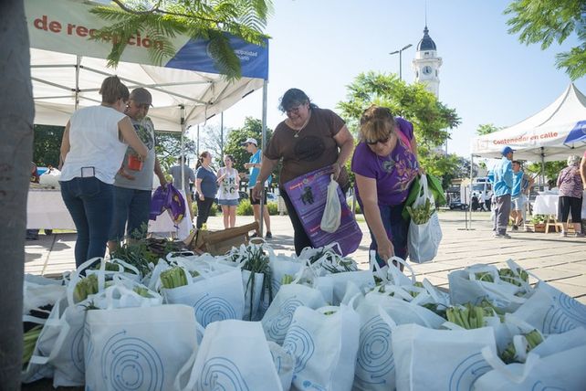 La actividad está enmarcada en el Plan Local de Acción Climática Rosario 2030.&nbsp;