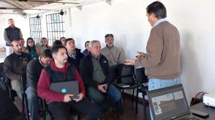 El Gobierno de Entre Ríos enfrenta la amenaza acecha a las palmeras.