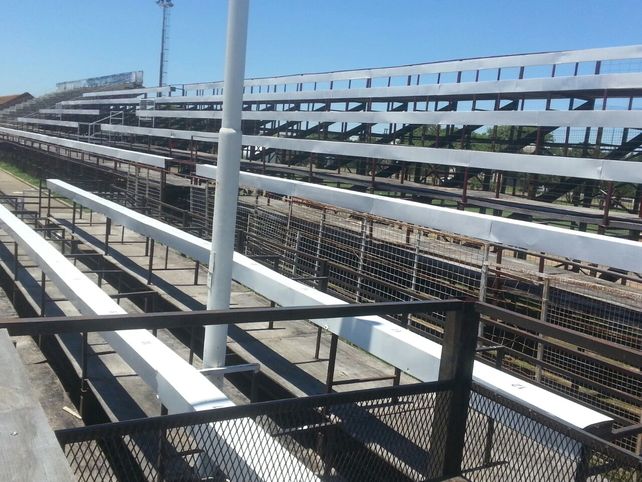 Pulen detalles a días del inicio del Carnaval del País