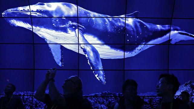 CES 2017: la feria tecnológica que sorprende en Las Vegas