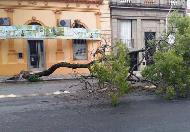 Foto: Facebook Paraná hacia el mundo