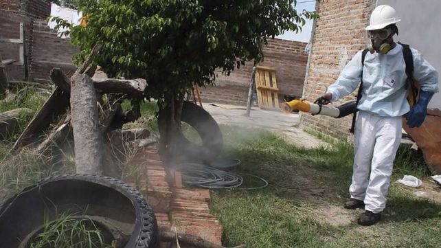 El gobierno nacional inicia una campaña contra el dengue