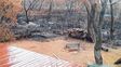 ya son seis las casas afectadas por el fuego en las islas de victoria