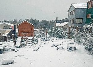 Empresa de turismo debe indemnizar a un rosarino al que dejó abandonado en Ushuaia