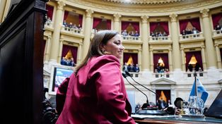 La presidenta de la Cámara de Diputados de la Nación, Cecilia Moreau.