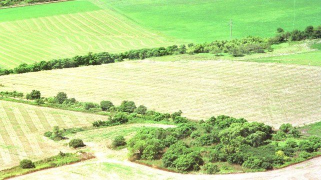 El campo