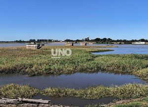 Crecieron los embalsados en la Setúbal: ultiman los detalles para la remoción de la vegetación acuática