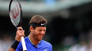 Del Potro se bajó de Hertogenbosch