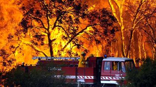 Los incendios forestales en Australia ya causaron m&aacute;s de ochenta muertos