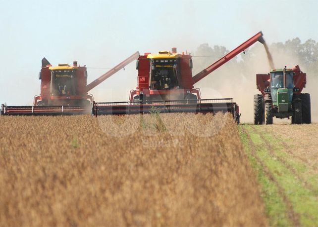 Producción. Desde la provincia se destinan más de 3.000 millones de dólares / Foto: Mauricio Centurión - Uno Santa Fe