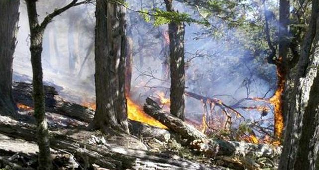 Contin&uacute;a en estado descontrolado el incendio forestal en Tierra del Fuego