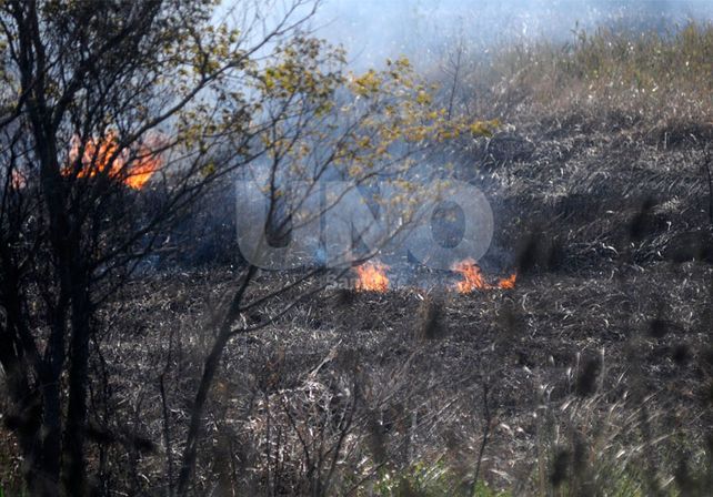 El fuego fue controlado por personal de Bomberos Zapadores y Plan de Manejo del Fuego.