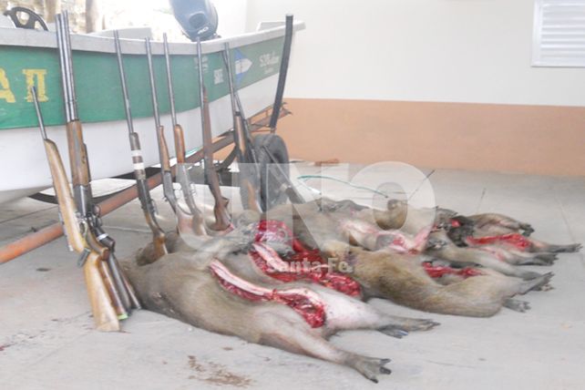 Secuestran ocho armas y 12 carpinchos depredados de la fauna autóctona