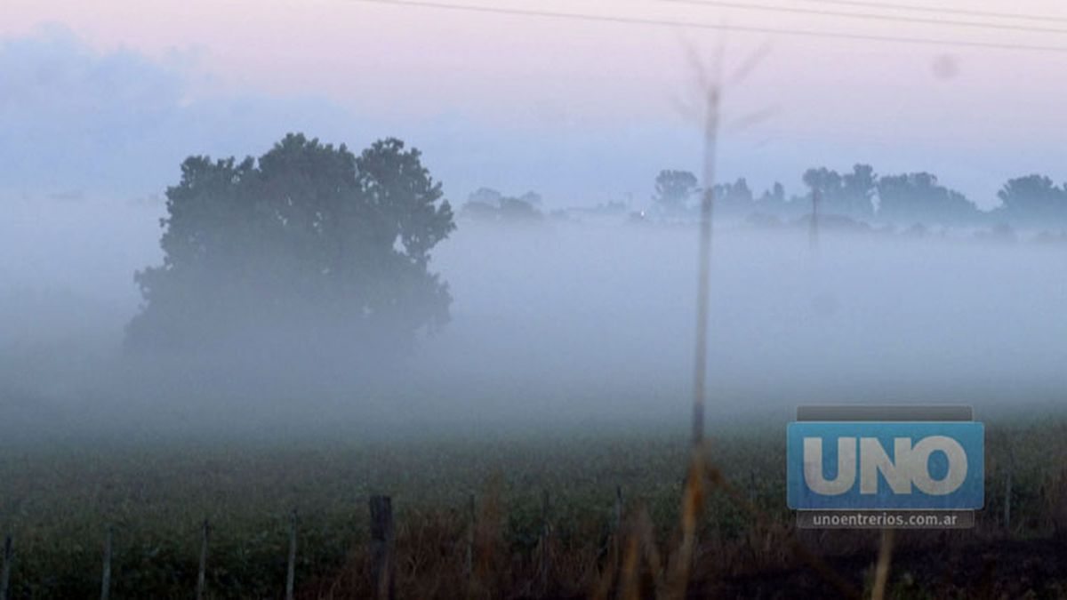 Piden circular con precaución en rutas, por bancos de niebla