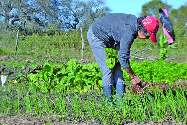 Mujeres rurales luchan por su porvenir y abrazan la esperanza