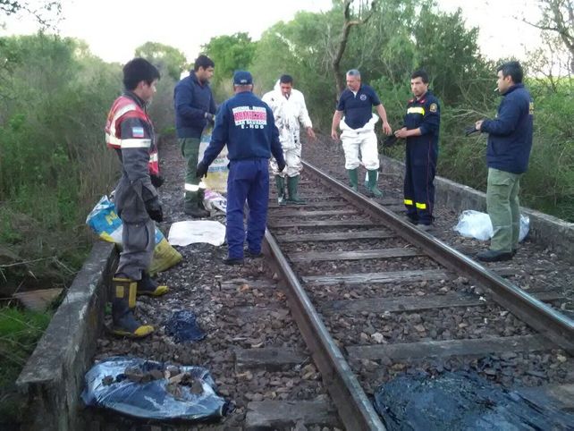 &nbsp;Foto Secretaría de Ambiente.&nbsp;