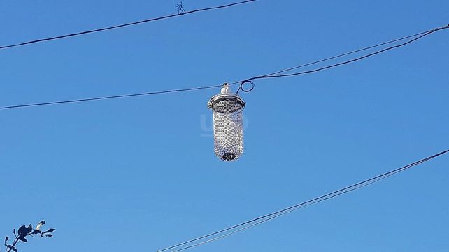 Los vecinos decidieron proteger los focos por la inseguridad