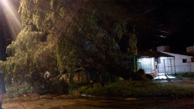 Una cola de tornado afecto al menos 10 cocheras y vehículos en barrio Paraná II