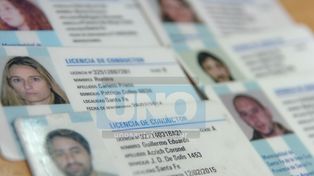 Proponen licencias gratuitas para conductores sin multas