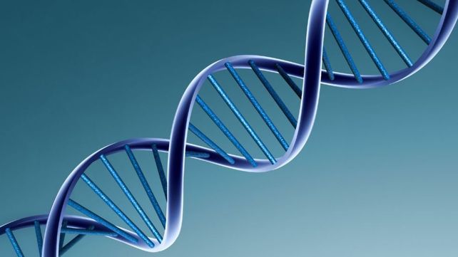 Así será el registro de violadores