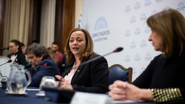 La presidenta de la Cámara de Diputados
