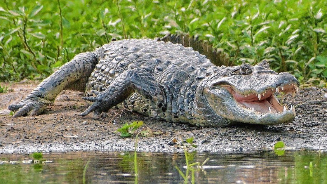 La reserva La Chinita se sitúa en Villaguay