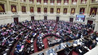 Los votos a la ley ómnibus por parte de los diputados santafesinos quedaron 11 a 8 a favor del proyecto oficialista.