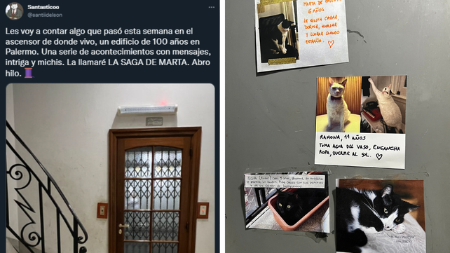 La saga de Marta, la historia que se hizo viral sobre los gatos de un edificio de Palermo