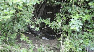 Agustina fue encontrada sin vida en un descampado, muy cerca de donde había desaparecido y dónde era buscada.&nbsp;