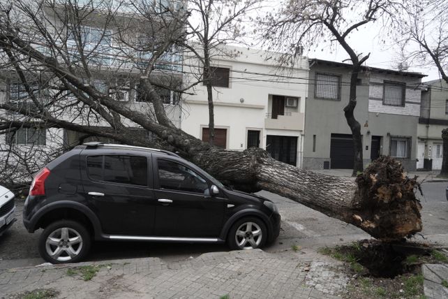 Precaución. Para este viernes se esperan ráfagas de vientos que en algunos casos podrían llegar a los 80 kilómetros por hora.&nbsp;