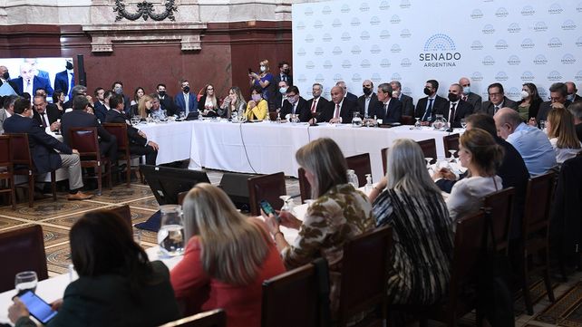 En el Senado, Guzmán dijo que el acuerdo con el FMI dará certezas
