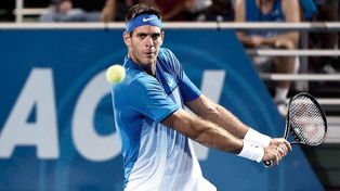Del Potro se lesionó en Washington pero seguirá adelante con su gira