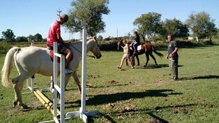 Con los cambios del Ejecutivo, se promulgó la ley para regular la equinoterapia