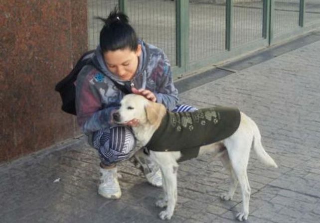 Bandido, el perro que vive donde se despidió de su dueño