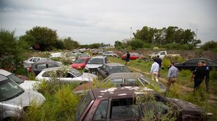 Trabajan en el retiro de vehículos abandonados en comisarías de la ciudad: hay dependencias con más de 20 autos y 100 motos