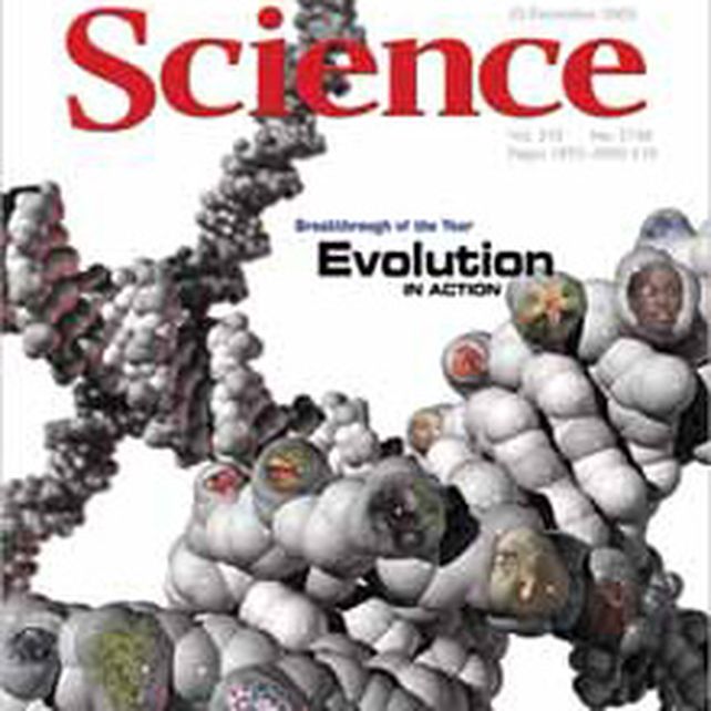 La revista Science defini&oacute; los 10 hallazgos cient&iacute;ficos m&aacute;s importantes del 2008