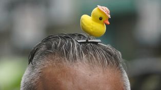 La tendencia viral de usar como vincha estos pequeños animales de plástico se instaló en la ciudad. Se consiguen por $1000 en la peatonal Córdoba.&nbsp;